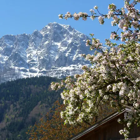 Apartamento Fürberger Anger