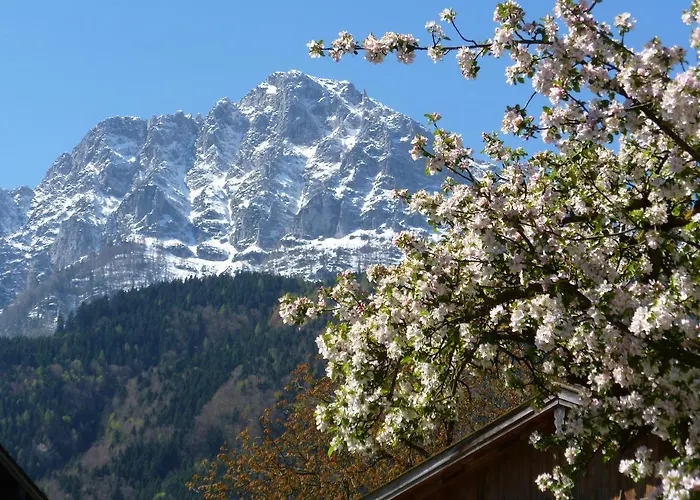 Apartmán Fuerberger Anger