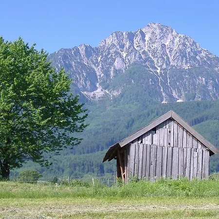 Fuerberger *